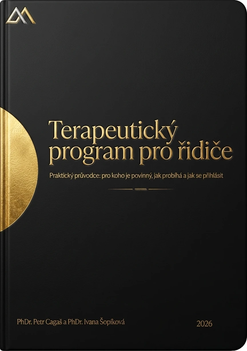 Terapeutický program pro řidiče